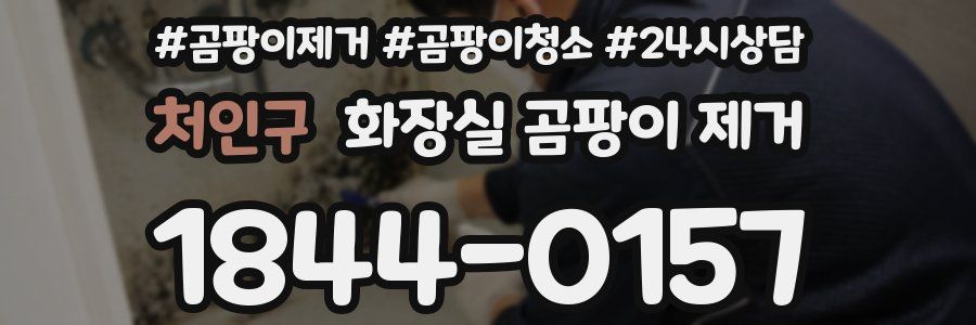 처인구 화장실 곰팡이 제거