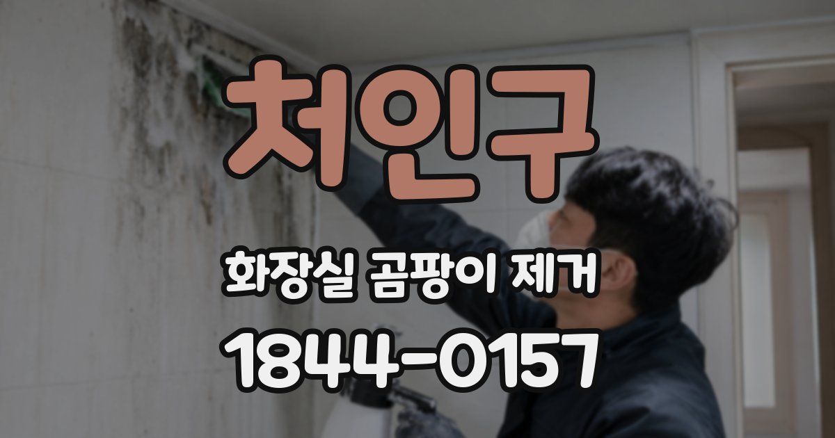 처인구 화장실 곰팡이 제거