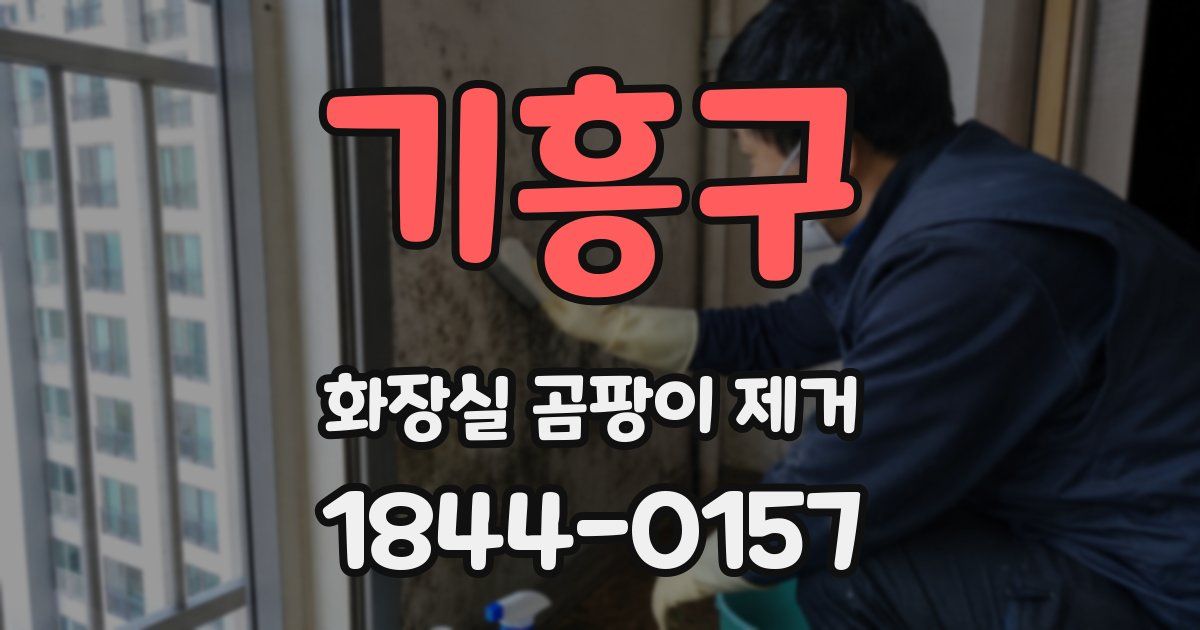 기흥구 화장실 곰팡이 제거