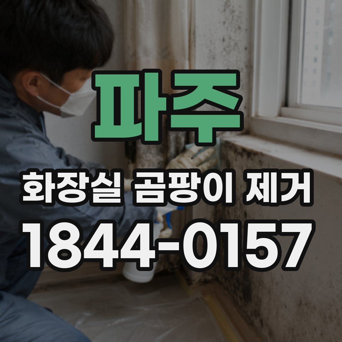 파주 화장실 곰팡이 제거 전에 누수와 습기부터 확인하기