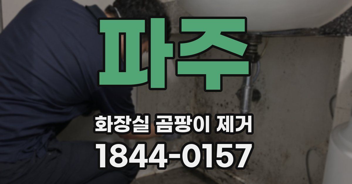 파주 화장실 곰팡이 제거