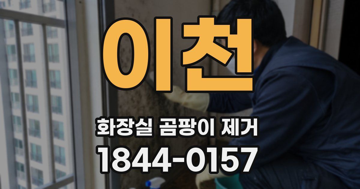 이천 화장실 곰팡이 제거