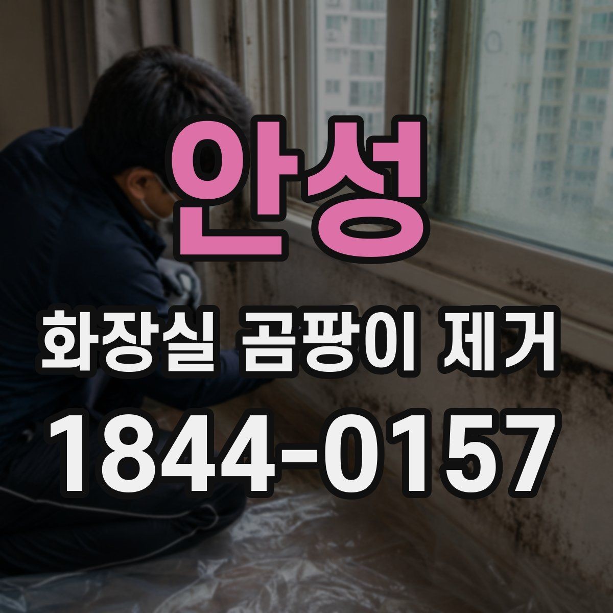 안성 화장실 곰팡이 제거 오염 범위별로 달라지는 현실적인 대응