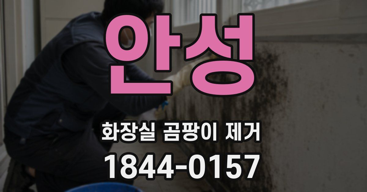 안성 화장실 곰팡이 제거