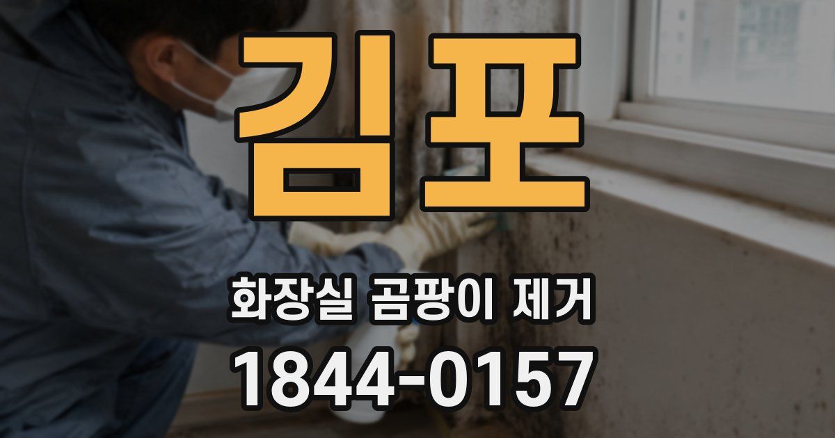 김포 화장실 곰팡이 제거