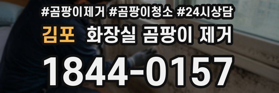 김포 화장실 곰팡이 제거