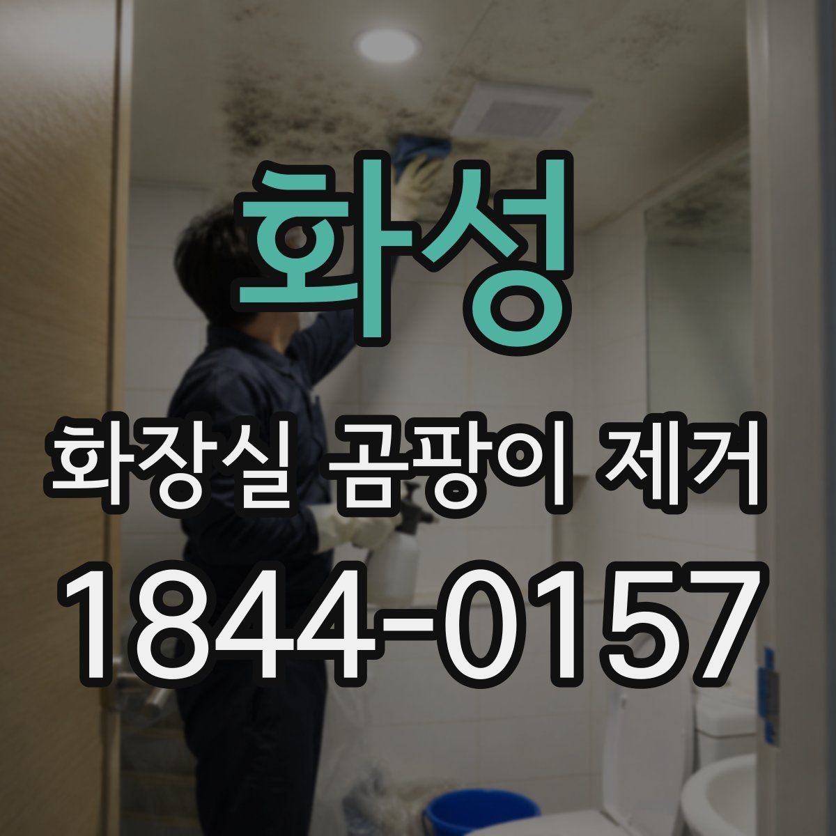 화성 화장실 곰팡이 제거 환기 부족이 남긴 흔적을 구분하는 방법