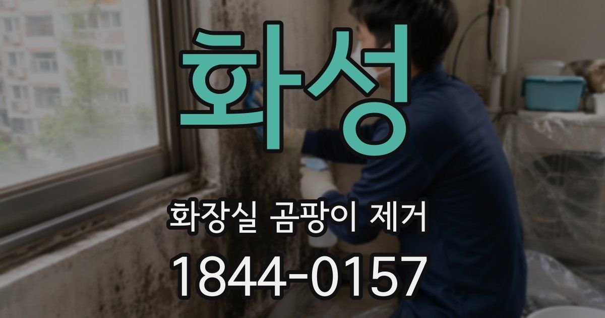 화성 화장실 곰팡이 제거