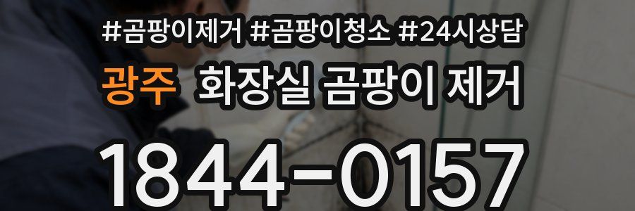 광주 화장실 곰팡이 제거