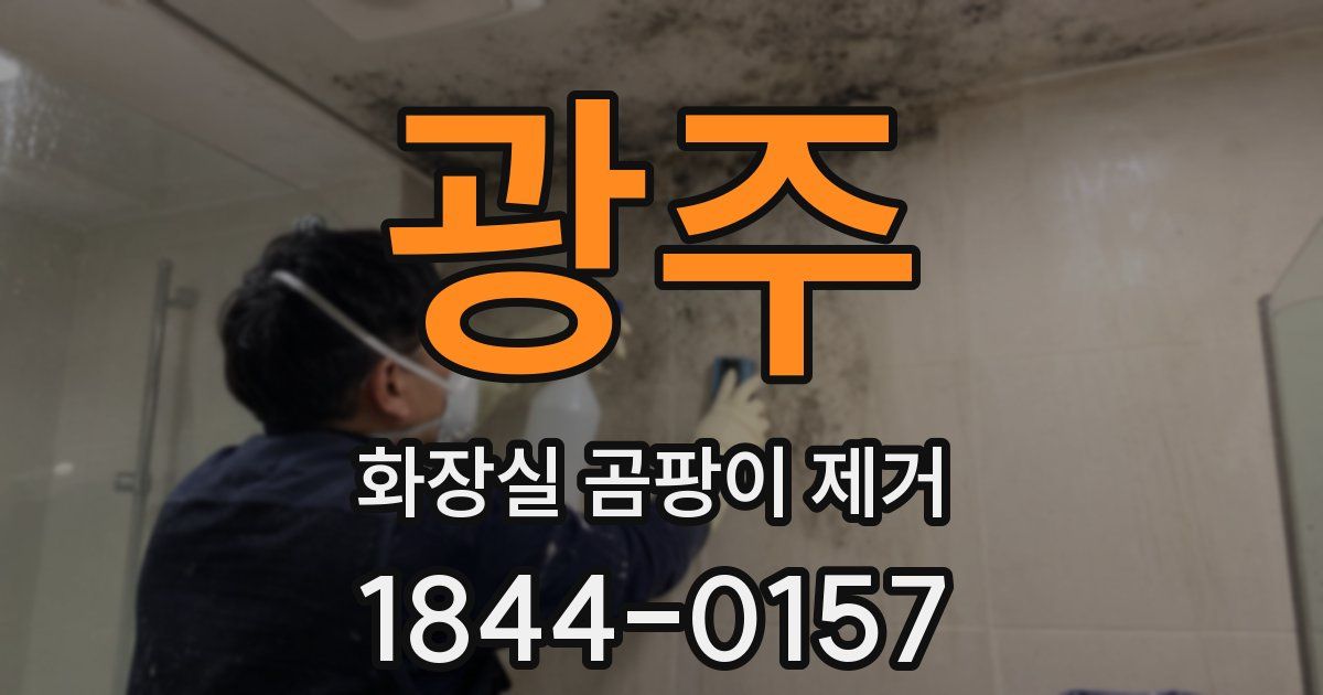 광주 화장실 곰팡이 제거