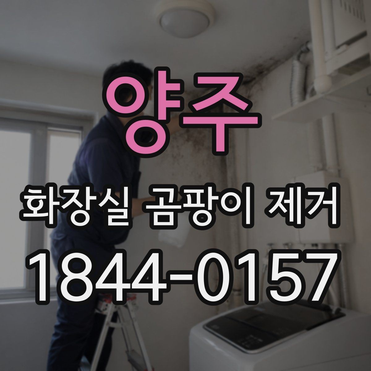 양주 화장실 곰팡이 제거 오래된 얼룩과 최근 오염을 구별하는 법