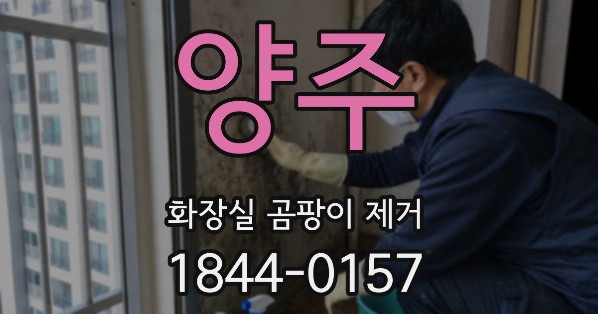 양주 화장실 곰팡이 제거