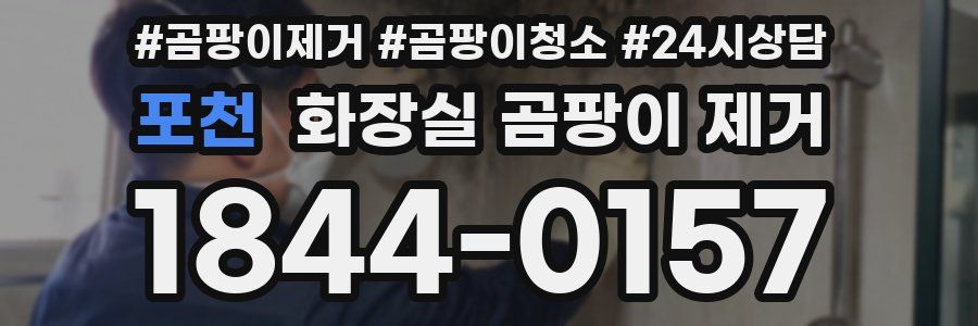 포천 화장실 곰팡이 제거