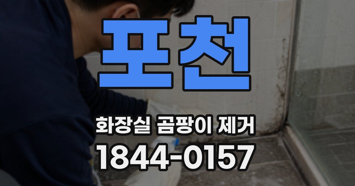 포천 화장실 곰팡이 제거