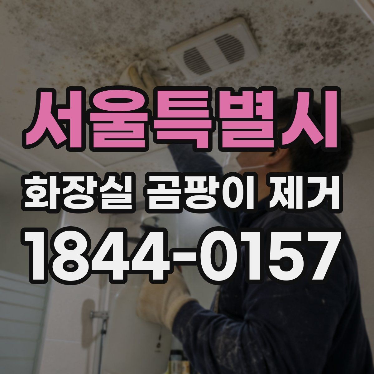 서울특별시 화장실 곰팡이 제거 냄새까지 함께 정리하는 순서