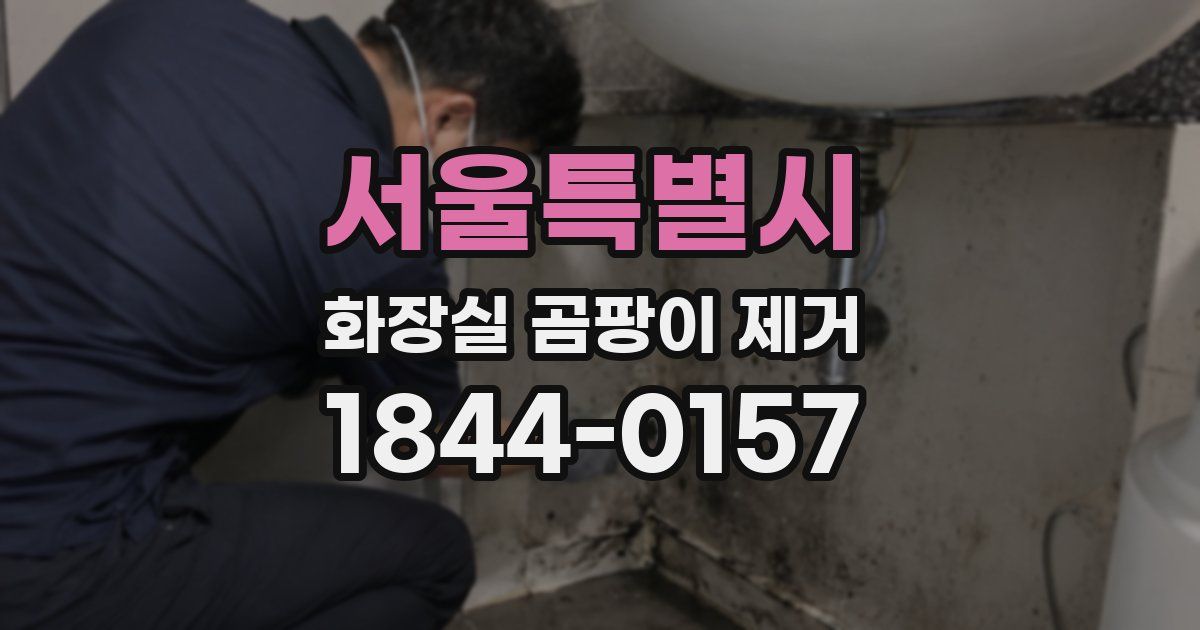 서울특별시 화장실 곰팡이 제거