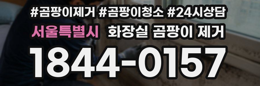서울특별시 화장실 곰팡이 제거