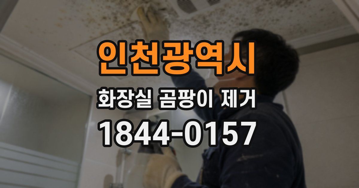 인천광역시 화장실 곰팡이 제거
