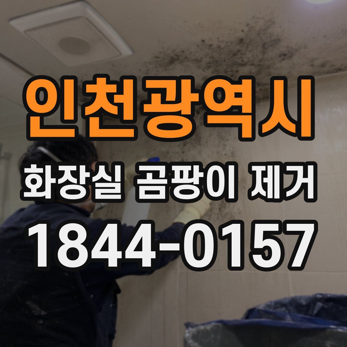인천광역시 화장실 곰팡이 제거