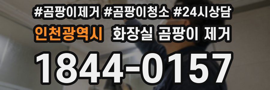 인천광역시 화장실 곰팡이 제거