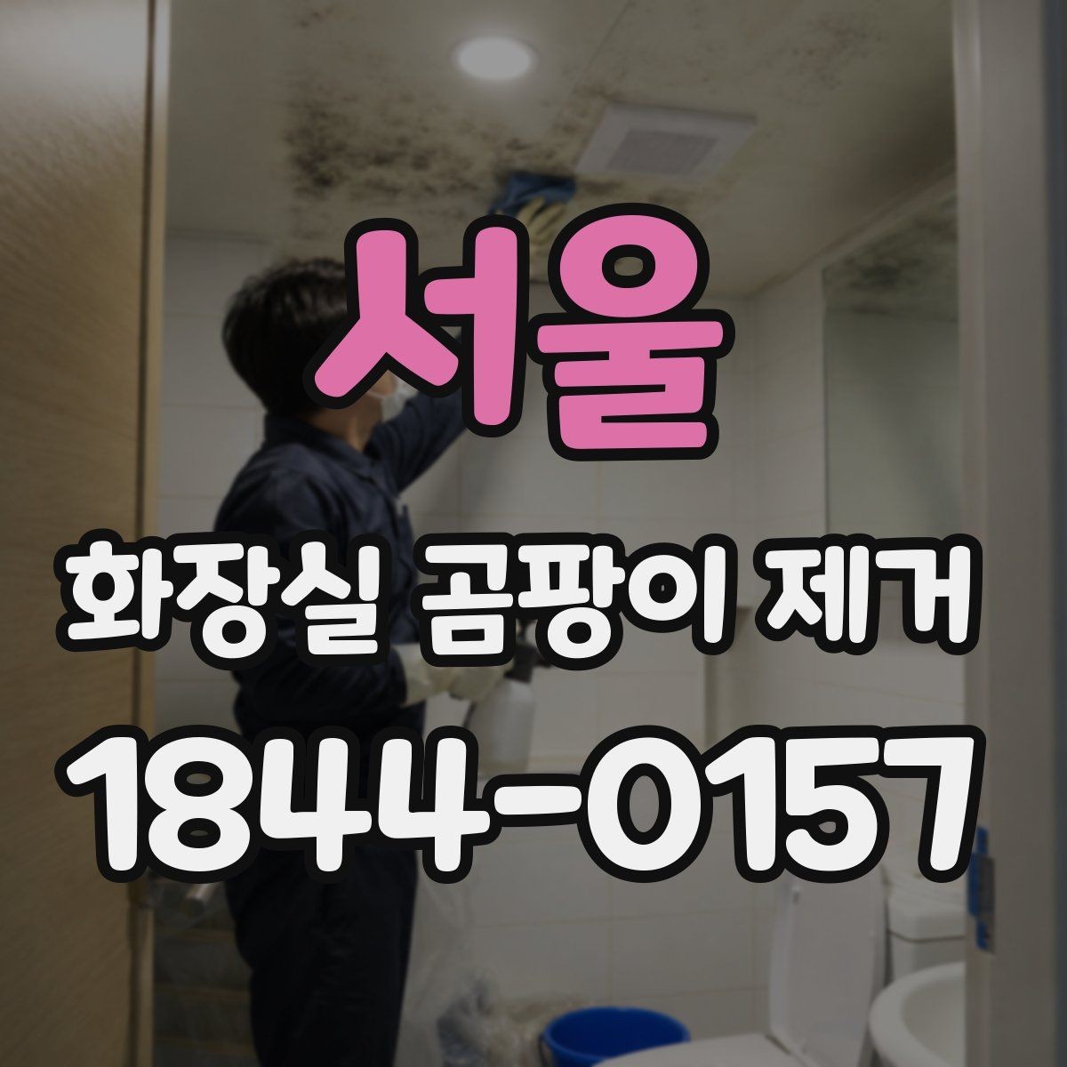 서울 화장실 곰팡이 제거 곰팡이 번식 원인부터 정리하는 과정