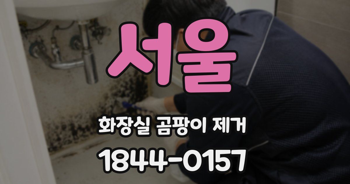 서울 화장실 곰팡이 제거