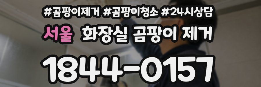 서울 화장실 곰팡이 제거