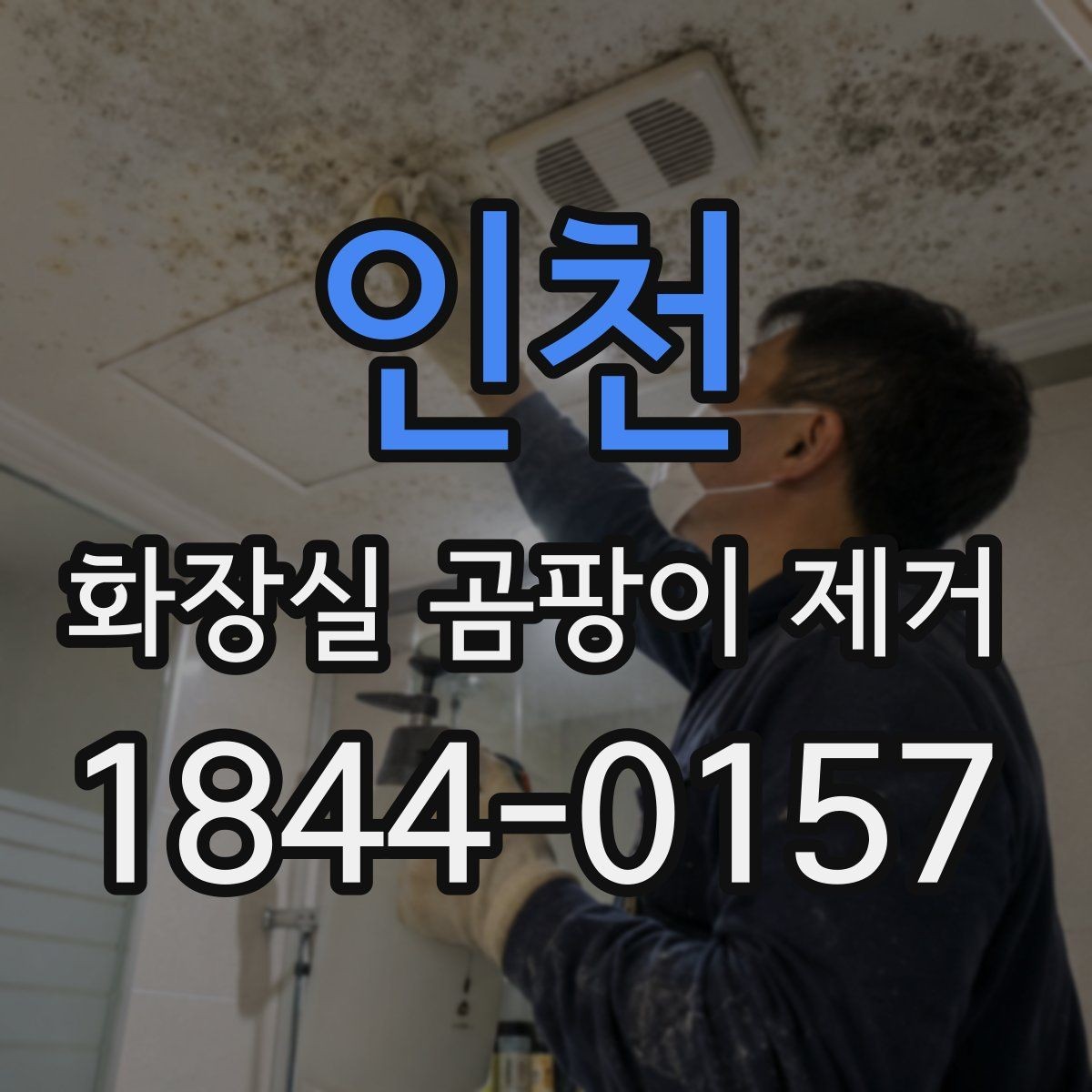 인천 화장실 곰팡이 제거 깊게 스민 얼룩을 단계별로 확인하는 법