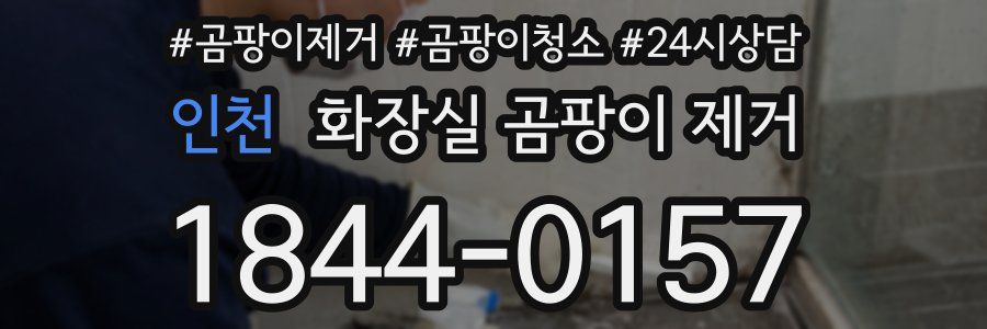 인천 화장실 곰팡이 제거