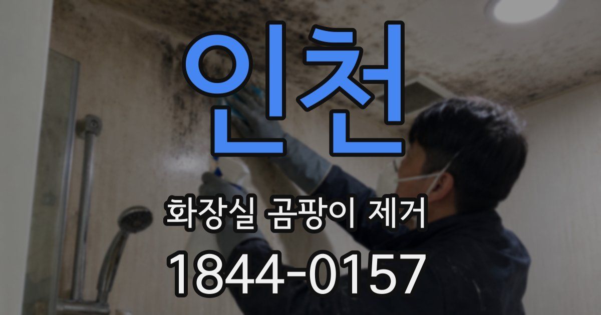 인천 화장실 곰팡이 제거
