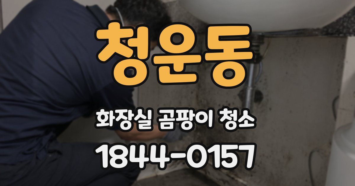 청운동 화장실 곰팡이 청소