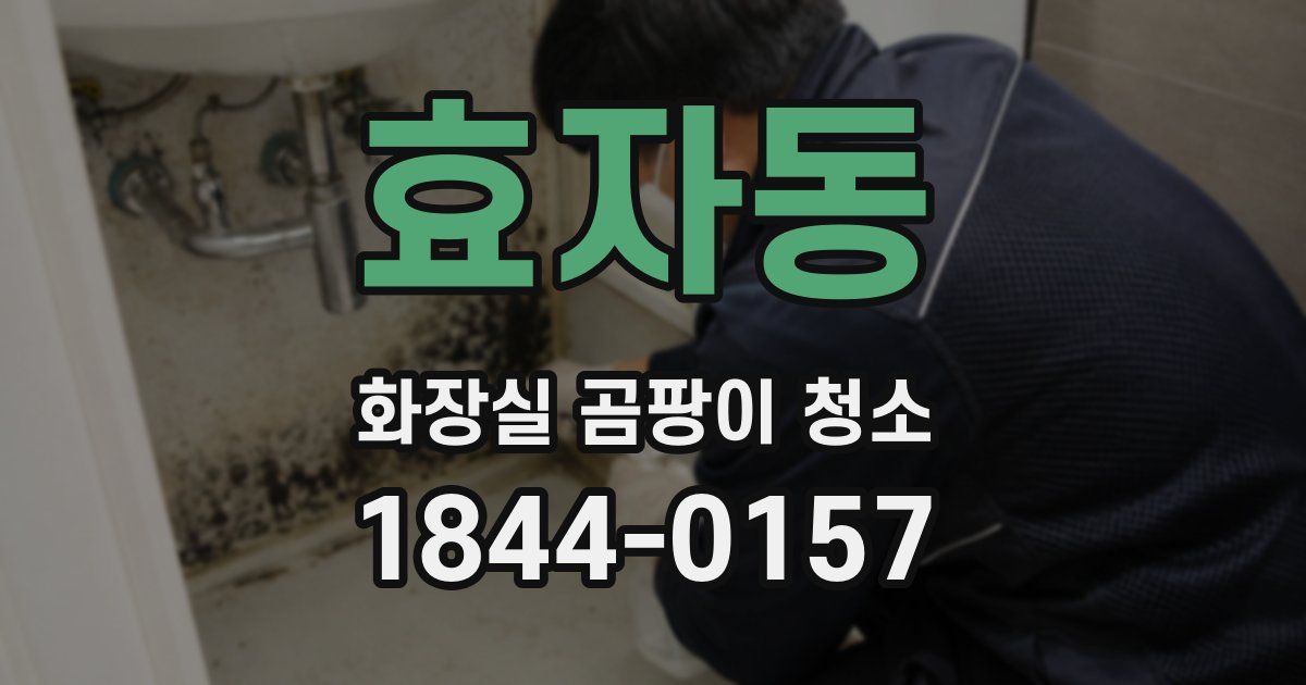 효자동 화장실 곰팡이 청소