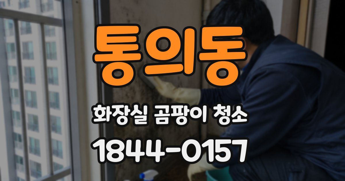 통의동 화장실 곰팡이 청소