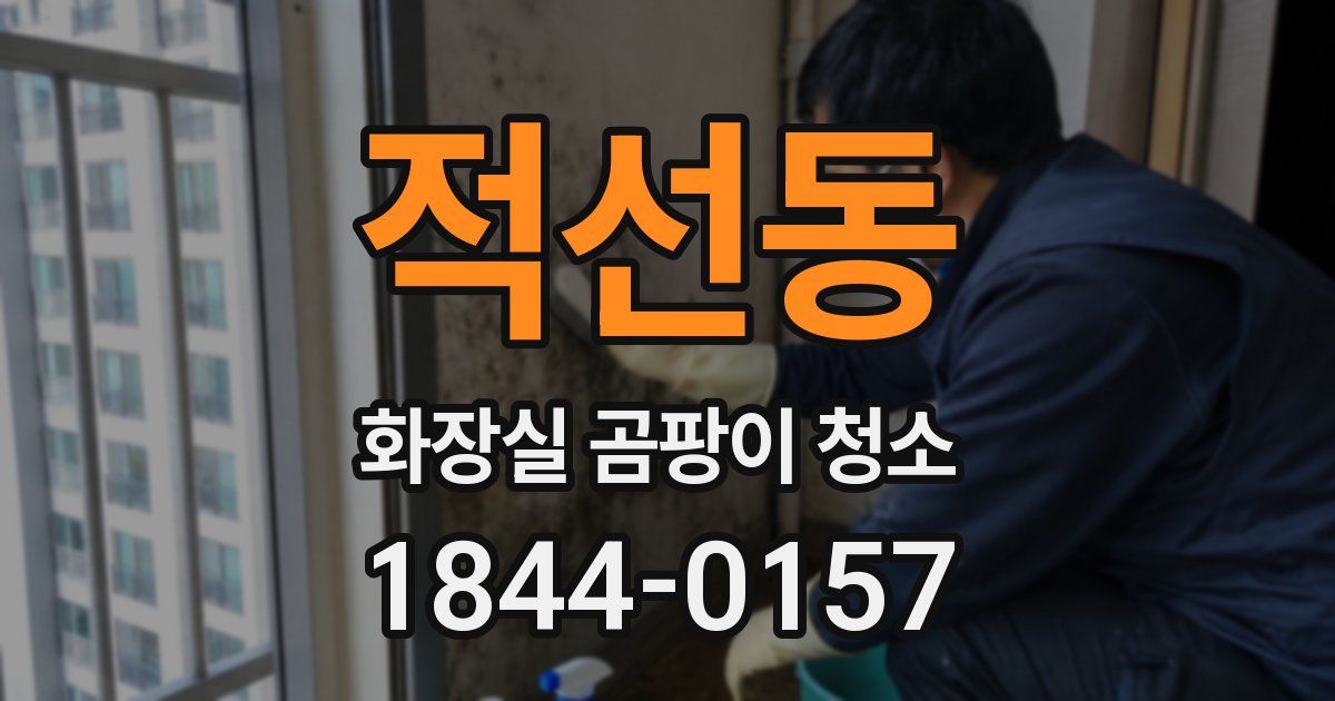 적선동 화장실 곰팡이 청소