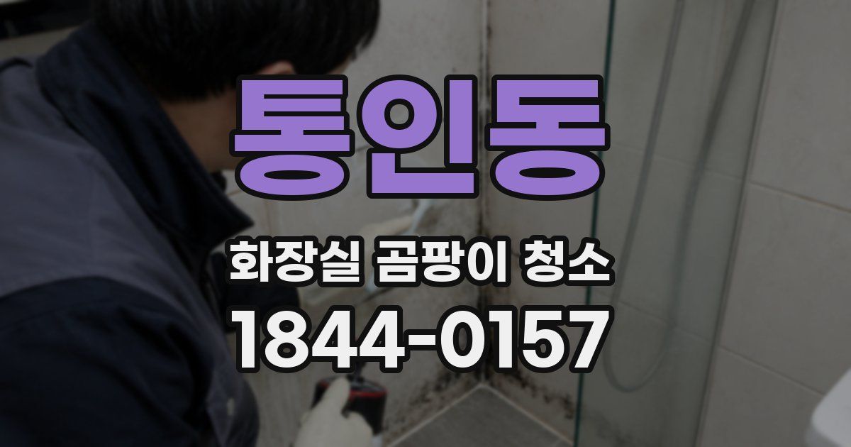 통인동 화장실 곰팡이 청소