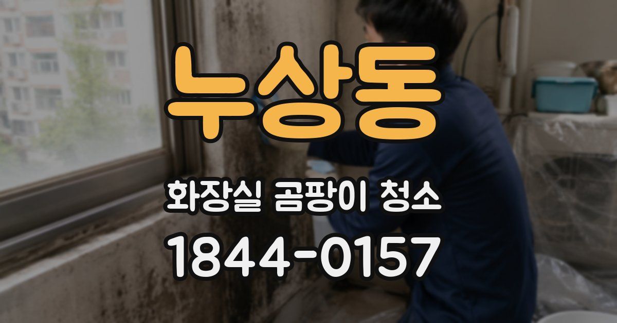 누상동 화장실 곰팡이 청소
