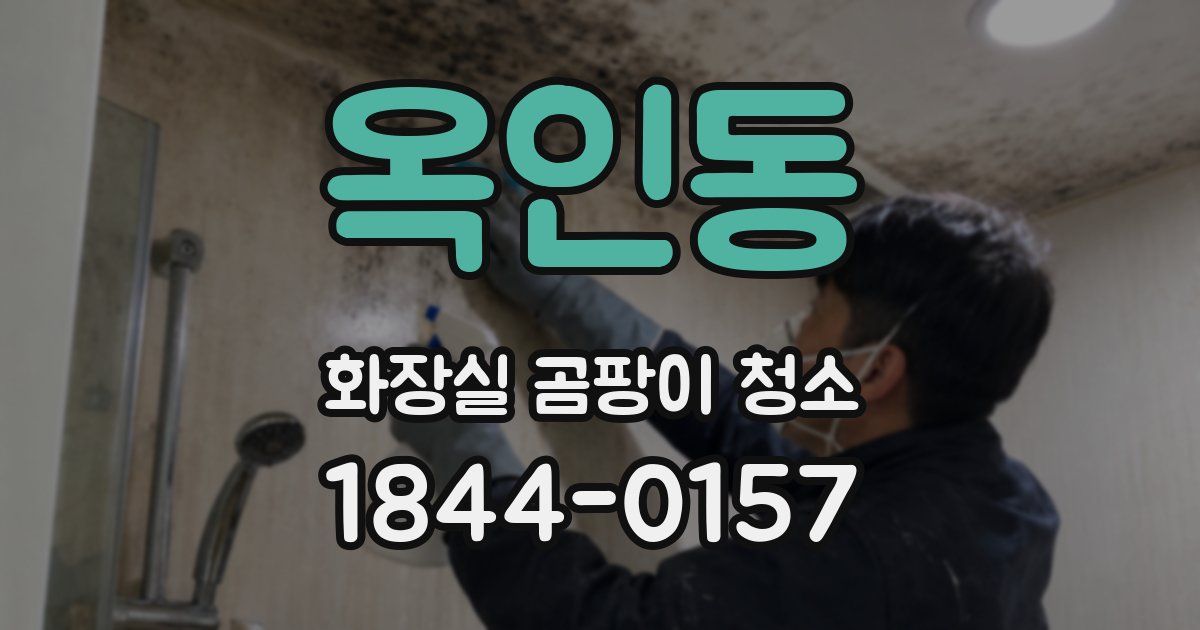 옥인동 화장실 곰팡이 청소