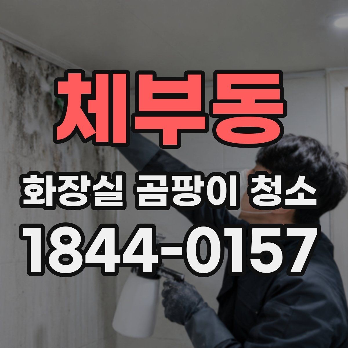 체부동 화장실 곰팡이 청소 습기 많은 집에서 먼저 볼 관리 요령