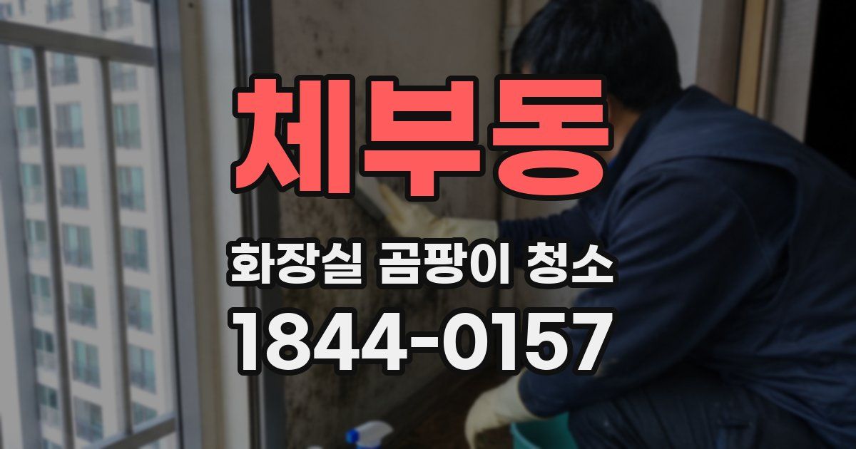 체부동 화장실 곰팡이 청소