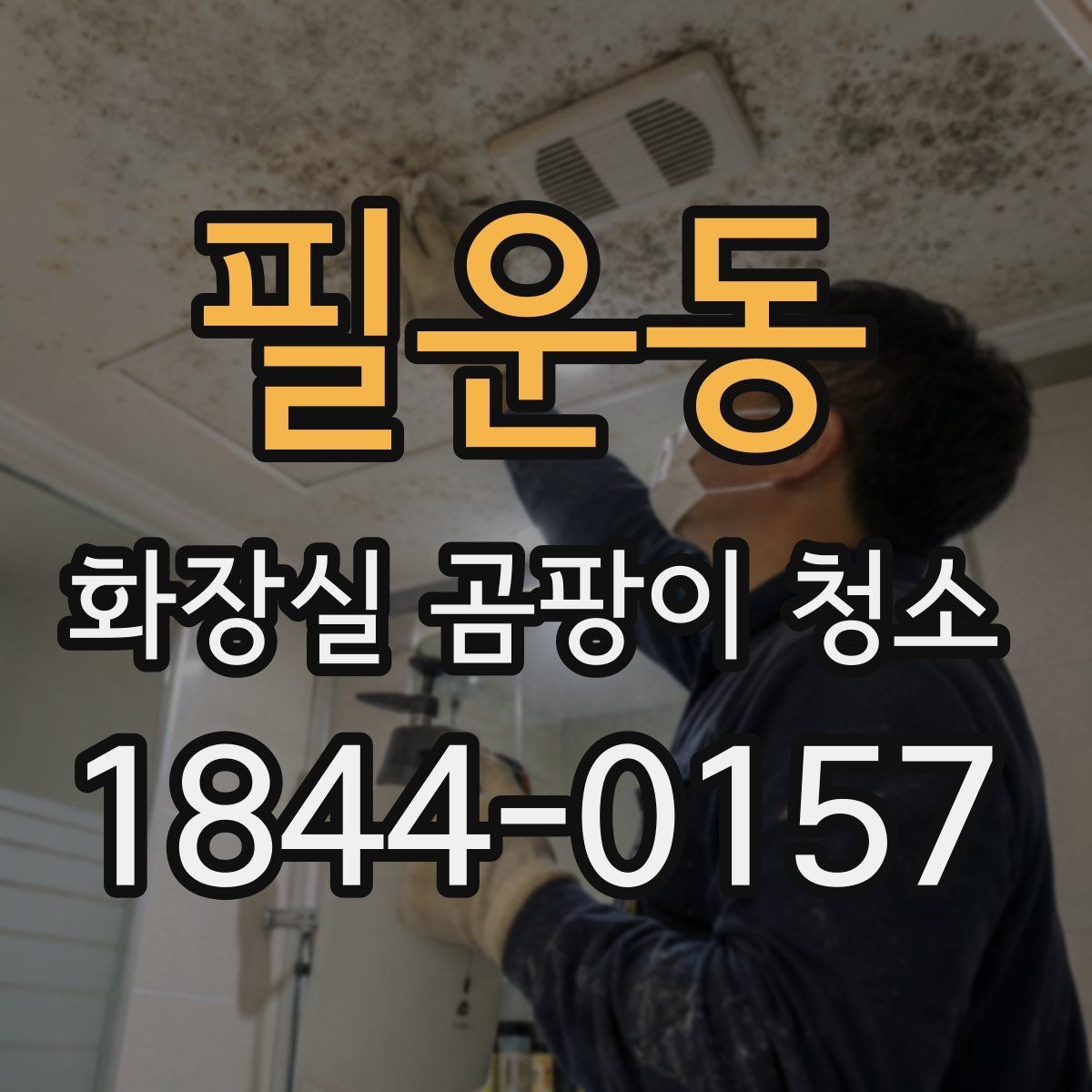 필운동 화장실 곰팡이 청소 배수구 주변 오염부터 정리하는 시작점