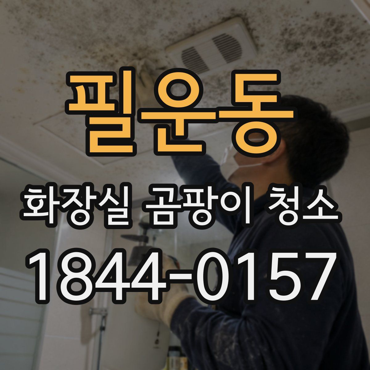 필운동 화장실 곰팡이 청소