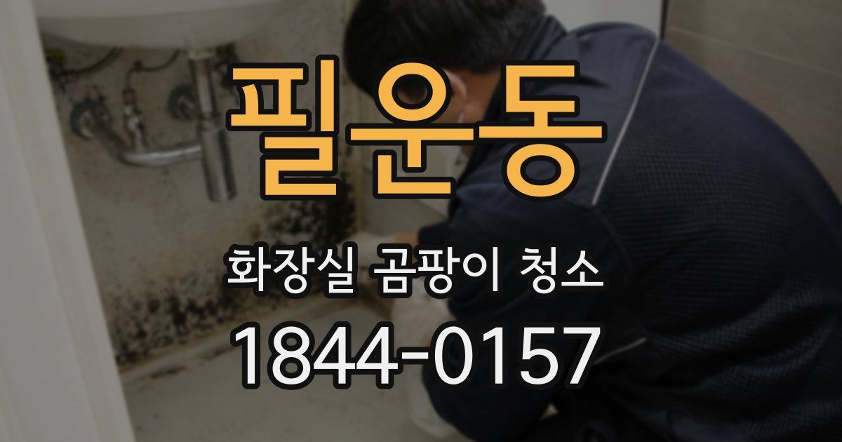필운동 화장실 곰팡이 청소