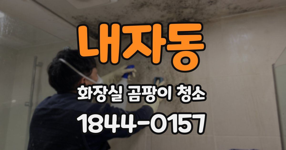 내자동 화장실 곰팡이 청소