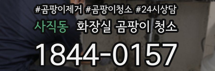 사직동 화장실 곰팡이 청소