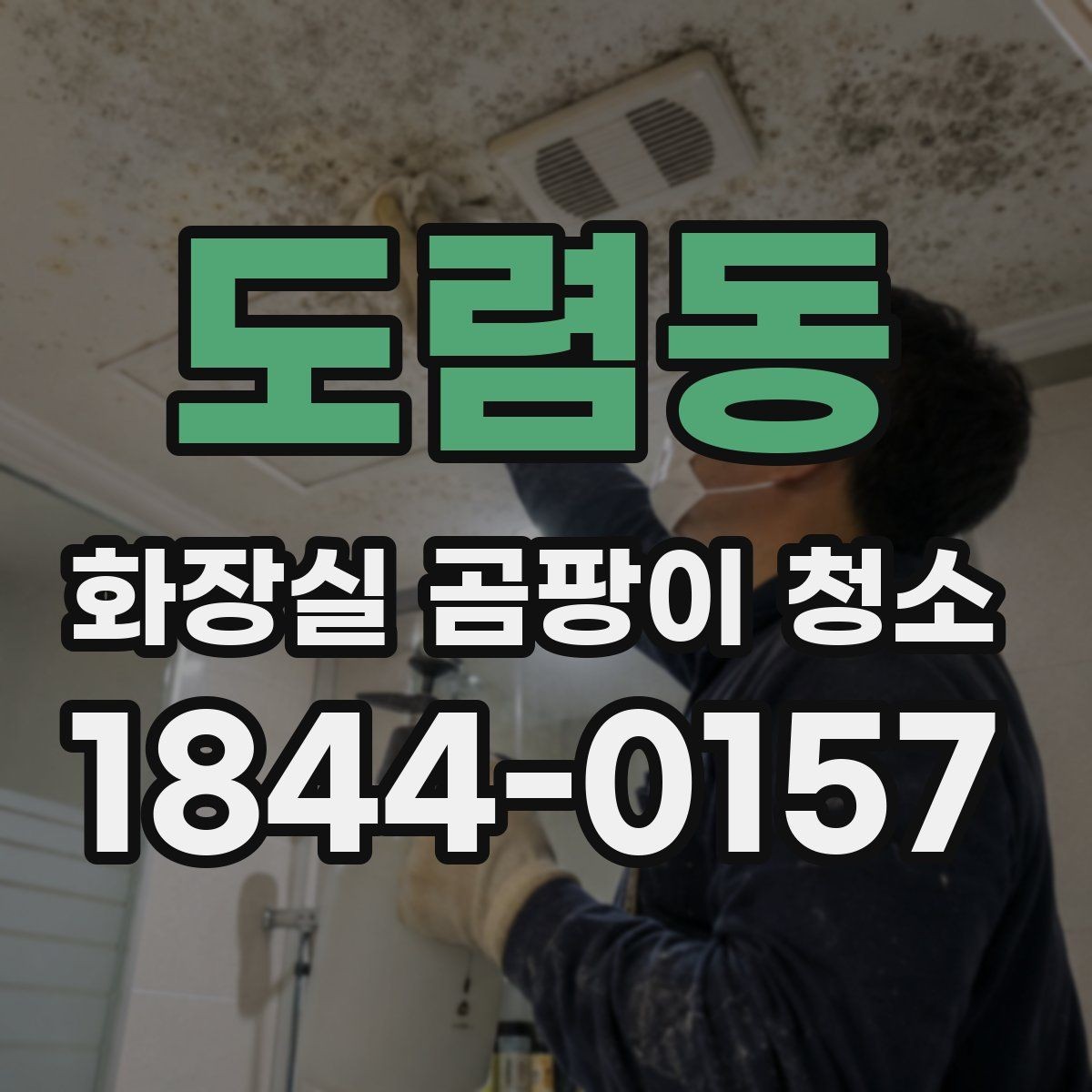 도렴동 화장실 곰팡이 청소 베란다보다 욕실이 더 심한 이유