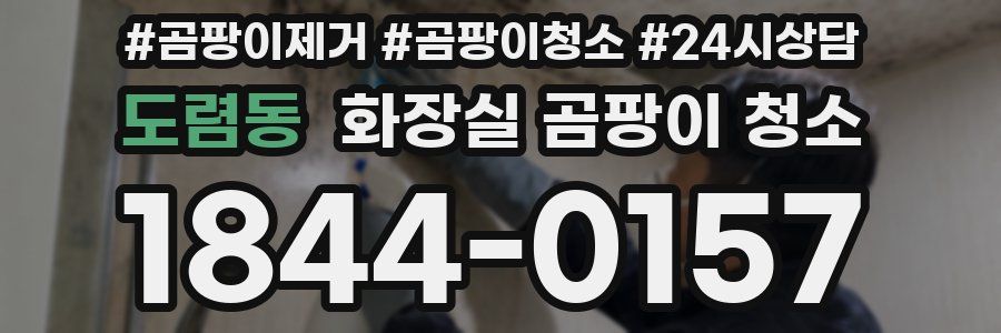 도렴동 화장실 곰팡이 청소