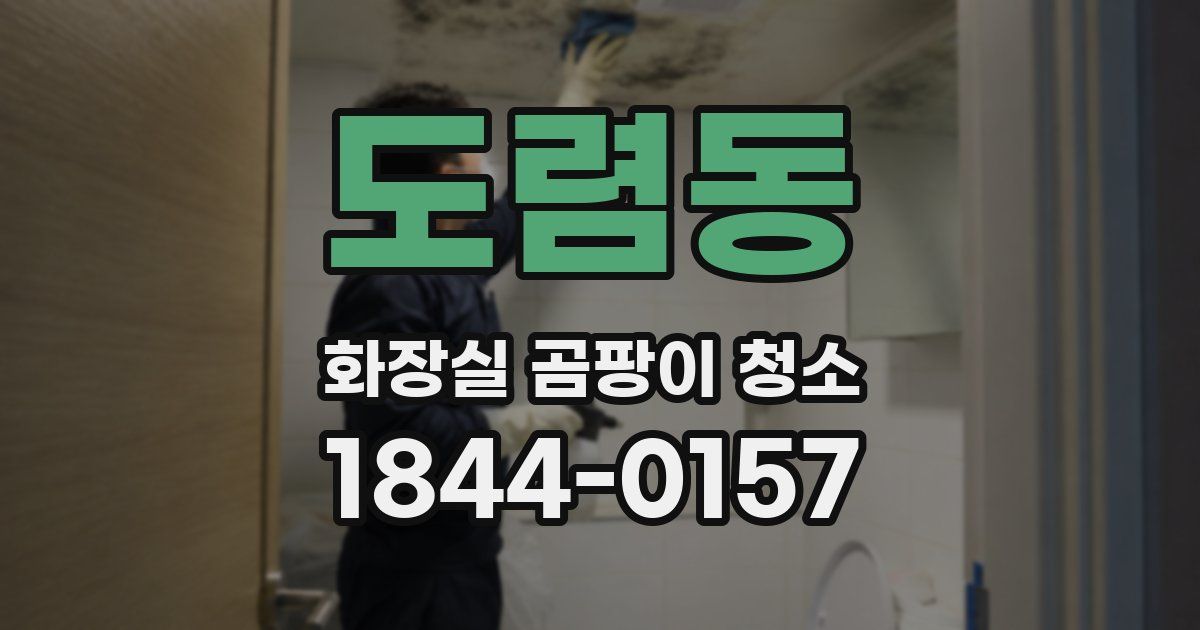 도렴동 화장실 곰팡이 청소