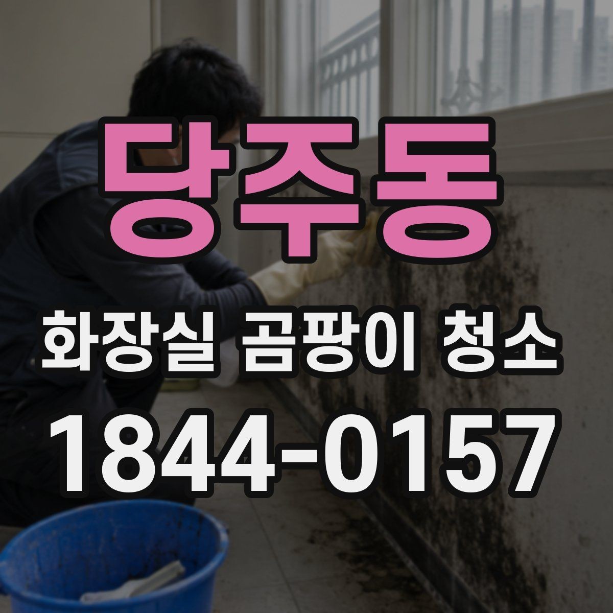 당주동 화장실 곰팡이 청소 배수구 주변 오염까지 함께 정리하는 법