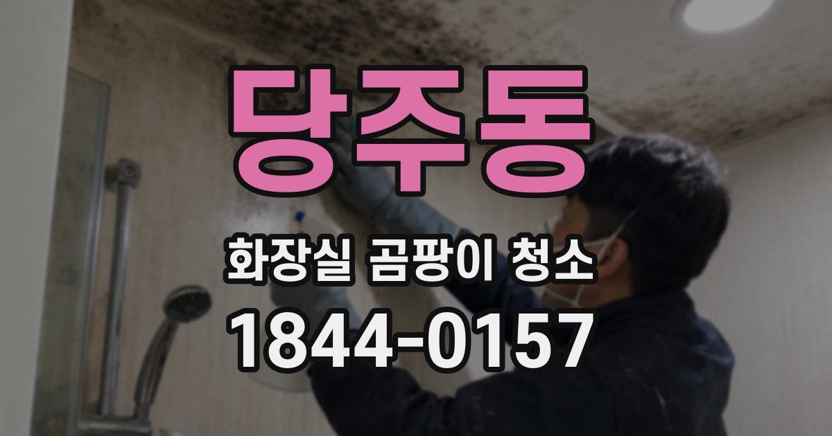 당주동 화장실 곰팡이 청소