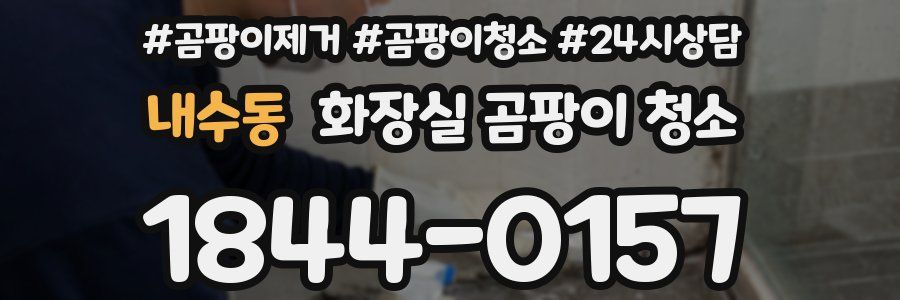 내수동 화장실 곰팡이 청소
